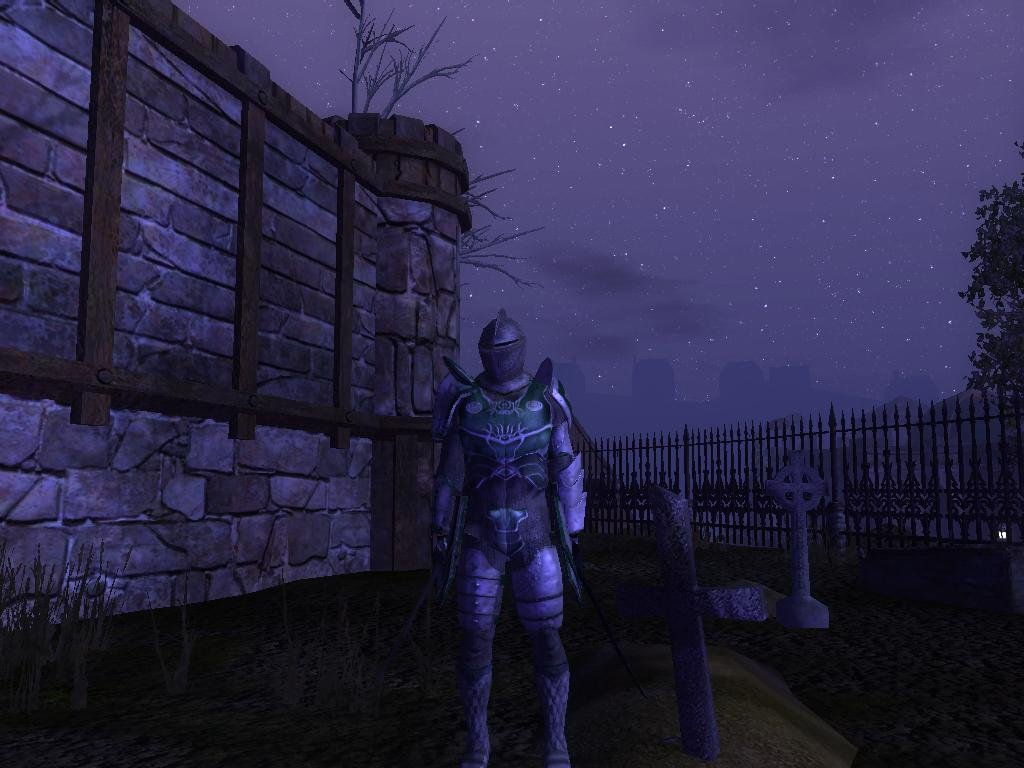 Homme en armure 2